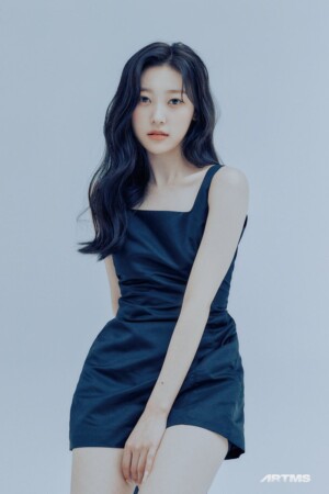 ARTMS Choerry Profile ARTMS Choerry Profile