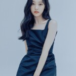 ARTMS Choerry Profile ARTMS Choerry Profile