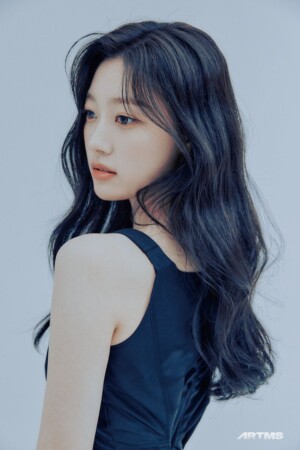 ARTMS Choerry Profile ARTMS Choerry Profile