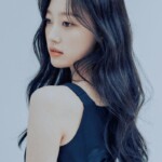 ARTMS Choerry Profile ARTMS Choerry Profile