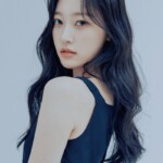 ARTMS Choerry Profile ARTMS Choerry Profile