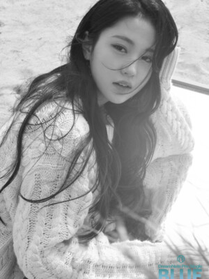 Dreamnote Sumin Secondary Page Blue Teaser Dreamnote Sumin Secondary Page Blue Teaser