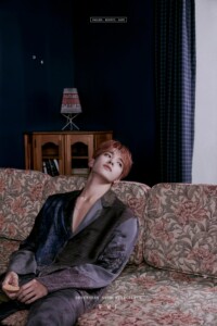 SEVENTEEN DK FML Teaser Fallen, Misfit, Lost version