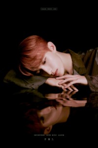 SEVENTEEN DK FML Teaser Fallen, Misfit, Lost version