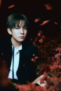 ENHYPEN Heeseung Dark Blood Concept / Teaser New ver.