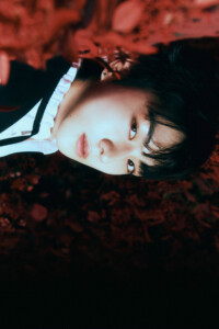 ENHYPEN Jungwon Dark Blood Concept / Teaser New ver.