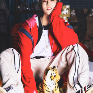 HAN Stray Kids 5-Star Concept HAN Stray Kids 5-Star Concept